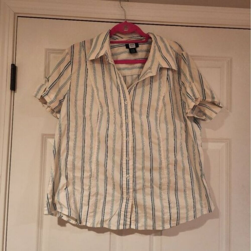 Studio 1940 white and blue striped button up shirt Size 22